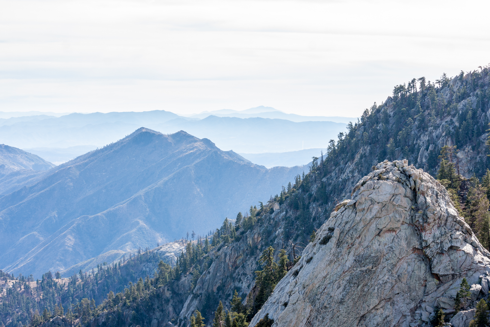 An image depicting the trail San Jacinto Peak and Miller Peak via Devils Slide Trail and Willow Creek Trail Loop and its surrounding area.