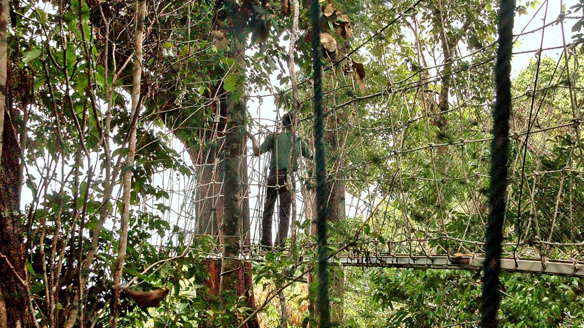 An image depicting the trail Heirats Stein and Haengebruecken via AV Weg and its surrounding area.