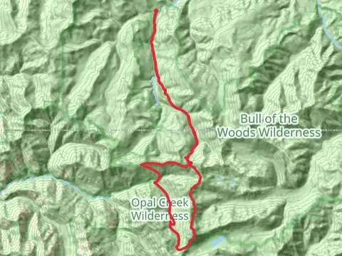 Silver King Lake and Battle Ax Mountain Trail