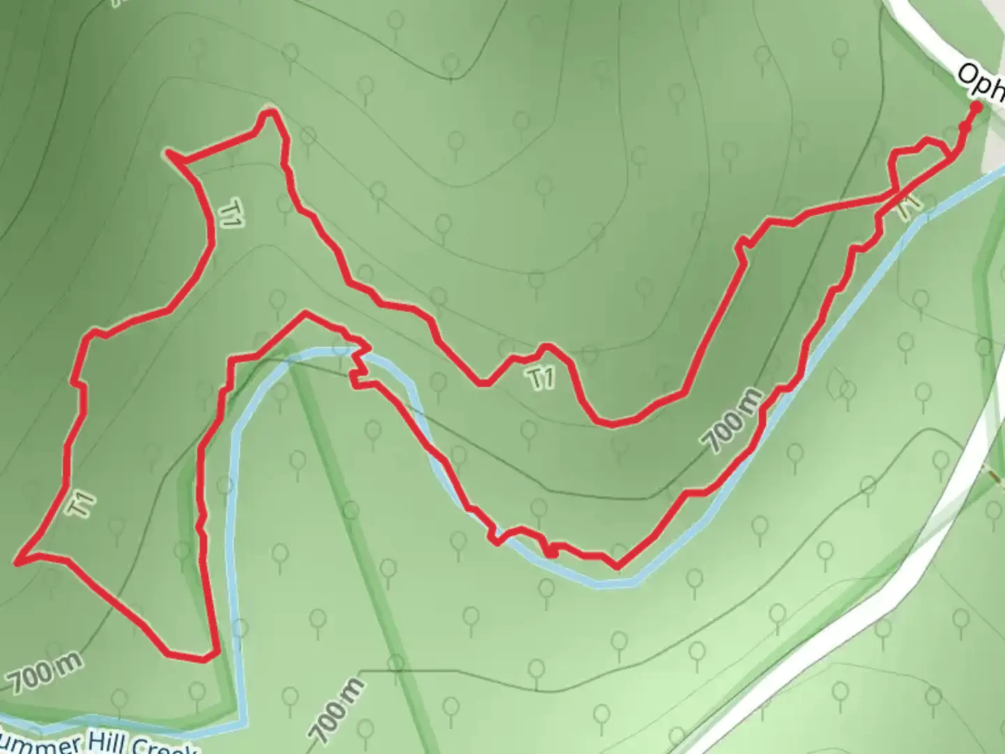 An image depicting the trail Historic Water Race Track and its surrounding area.
