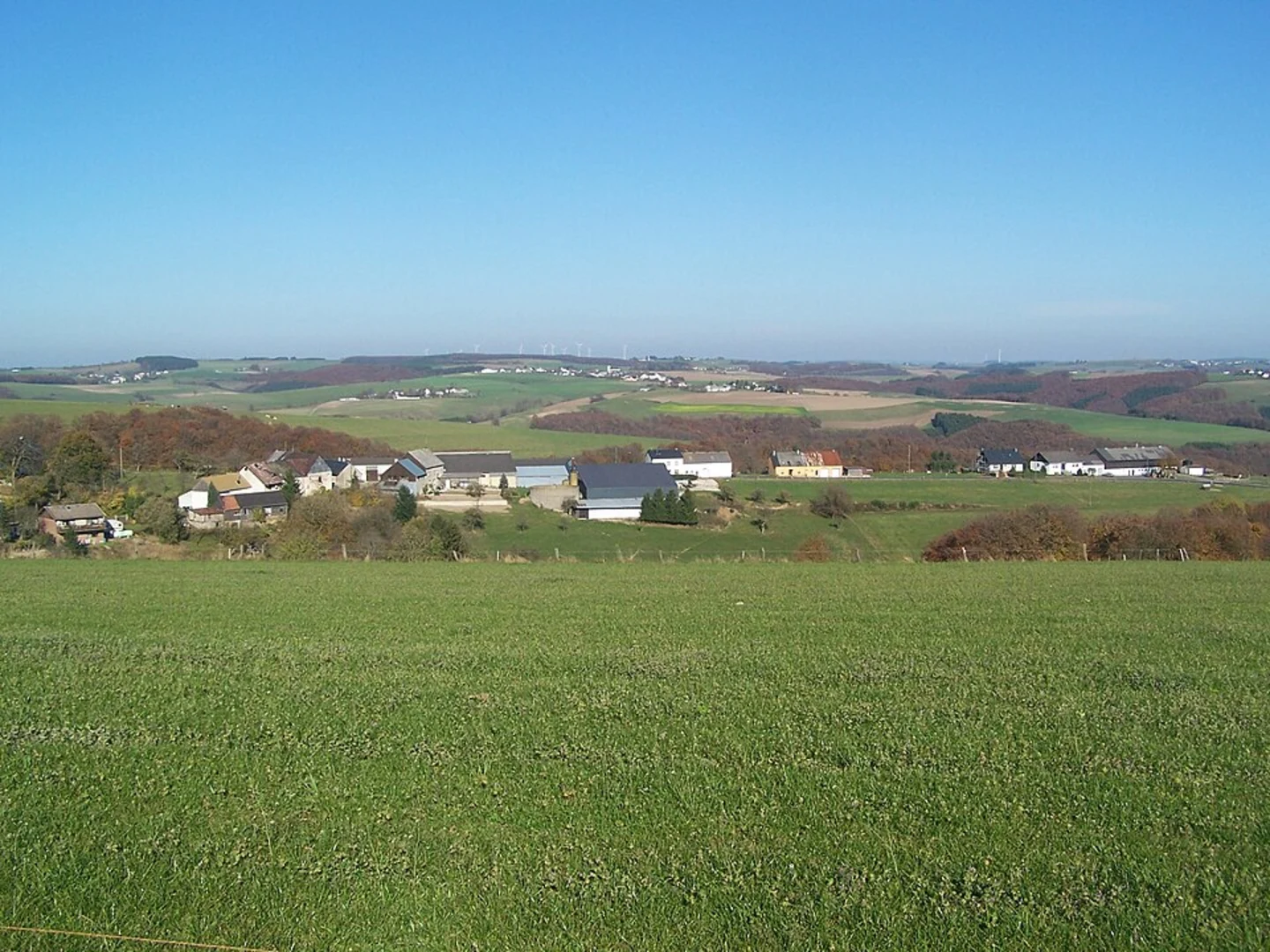 An image depicting the trail Hölzersee, Warmbronner Kopf and Krumm Baumle Loop and its surrounding area.