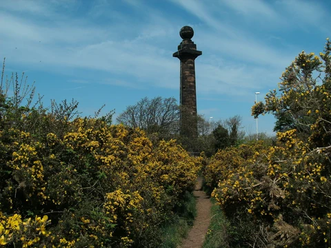 Caldy Hill and Cubbins Green