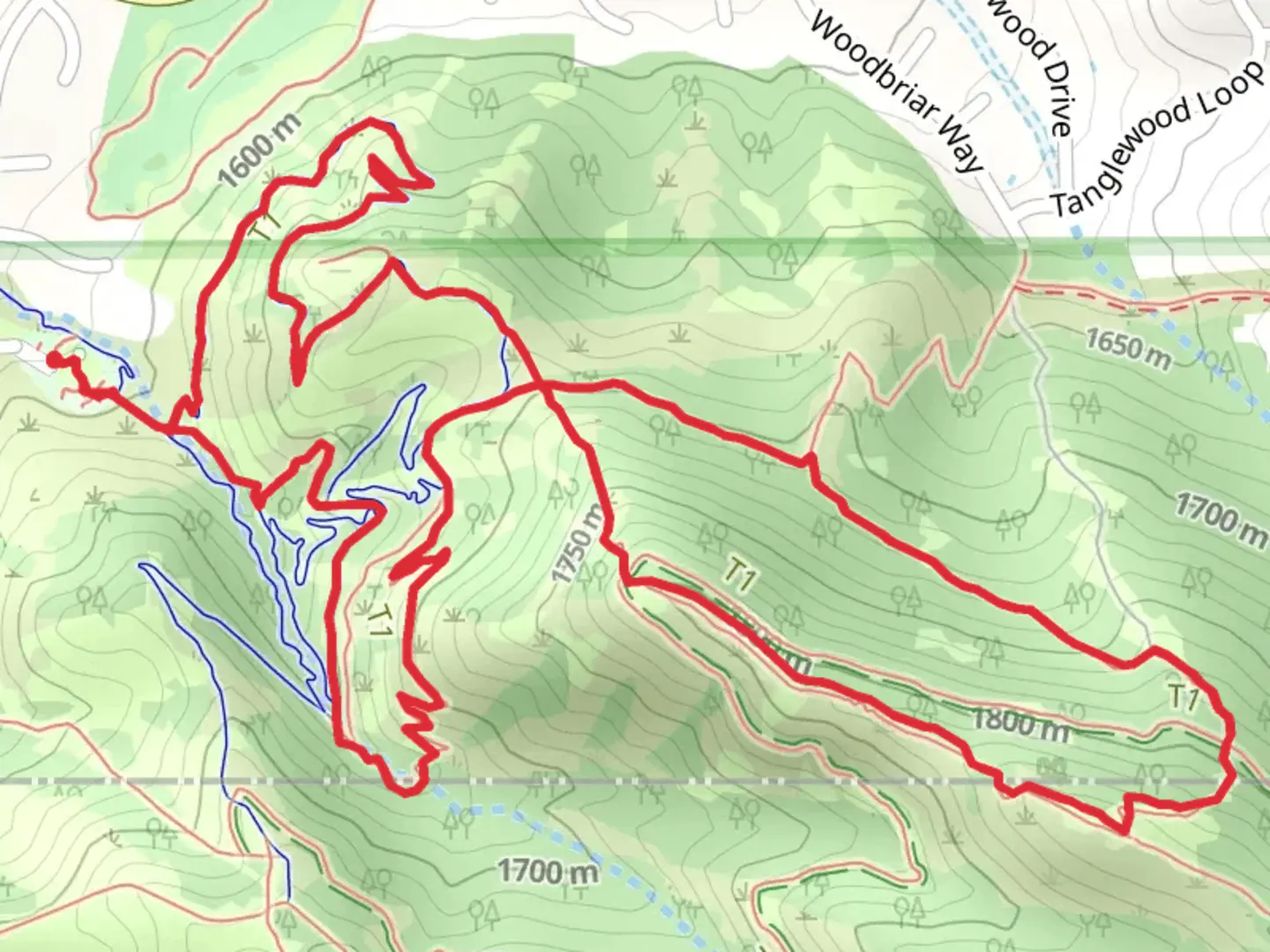 An image depicting the trail Wild Rose, Woodbriar and Chukkar Loop and its surrounding area.