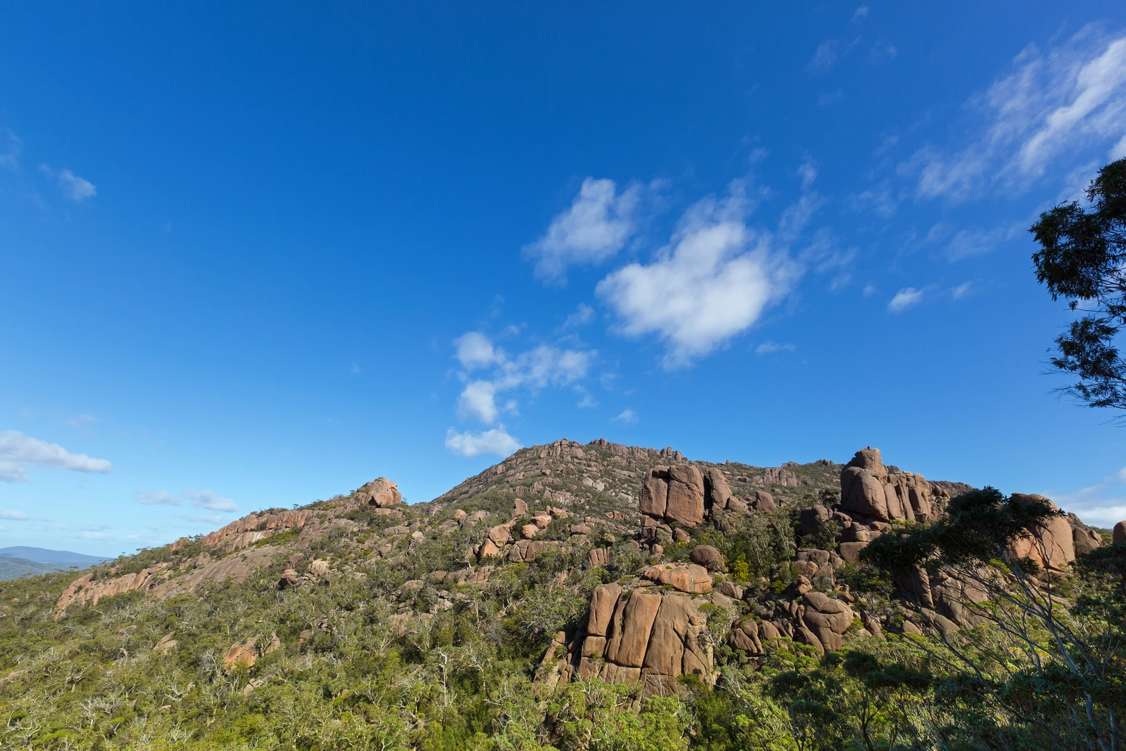 An image depicting the trail Wineglass Bay Circuit And Hazards Beach Circuit and its surrounding area.