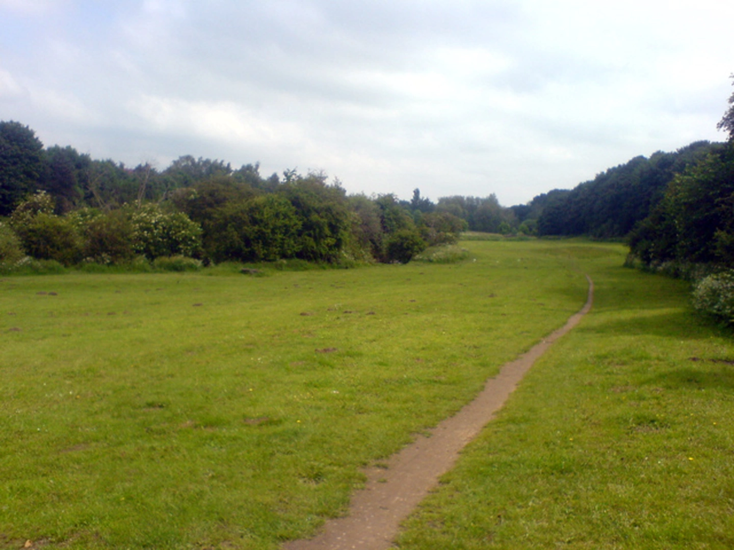 An image depicting the trail Oxclose Wood and Mansfield Woodhouse Loop and its surrounding area.