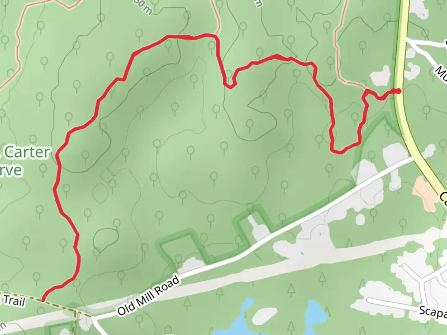 An image depicting the trail Old Pasture - Morraine - Split Rock Trail and its surrounding area.