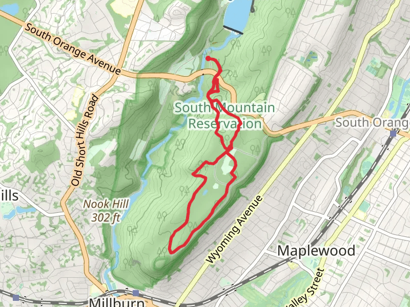 Turtle Back, Swampy and Summit Loop Trail