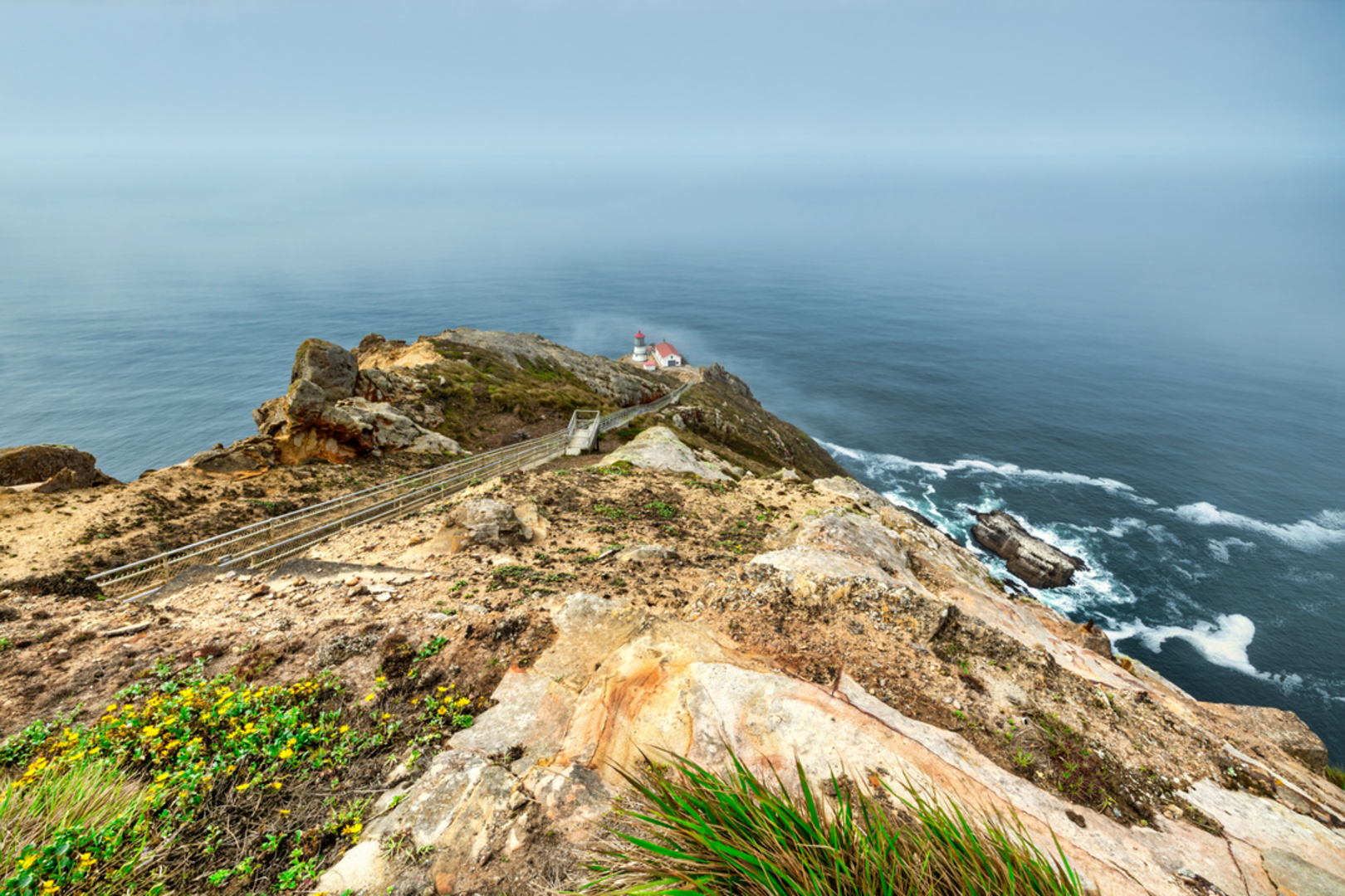 An image depicting the trail Point Reyes Lighthouse Visitor Center Trail and its surrounding area.