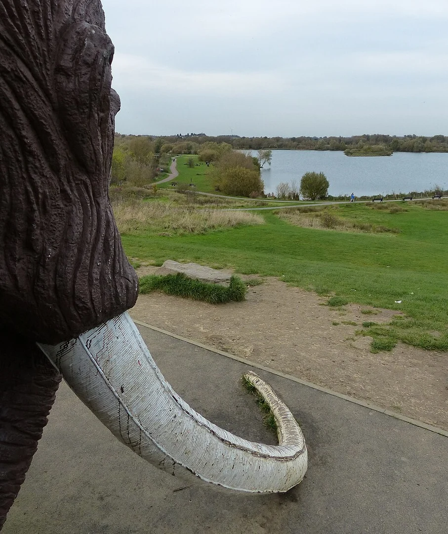 An image depicting the trail Mammoth Lake Loop and its surrounding area.