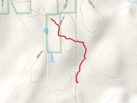 Mud Pond Trail from Cooper School House Road