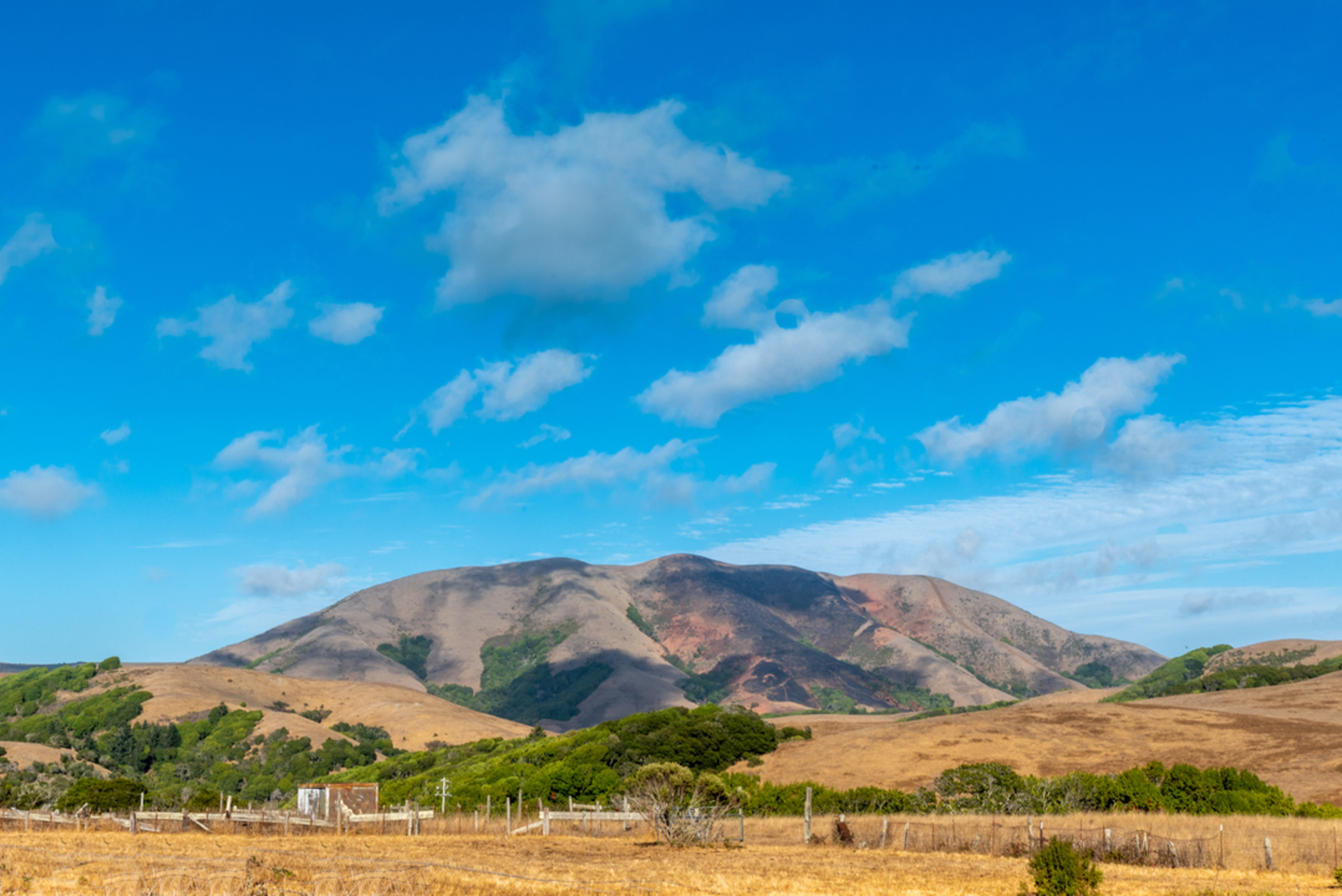 An image depicting the trail Inverness Ridge Trail and its surrounding area.
