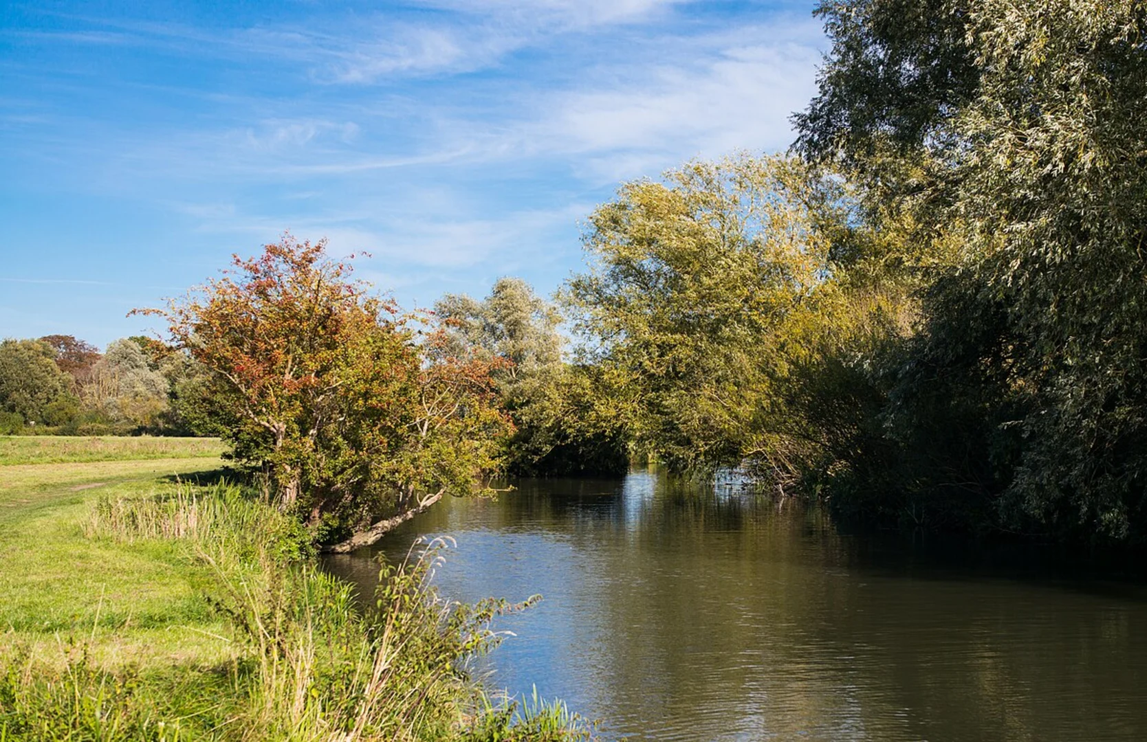 An image depicting the trail Trumpington Meadows Country Park and River Cam and its surrounding area.