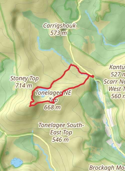Hike on Lough Ouler and Tonelagee Loop mobile static map