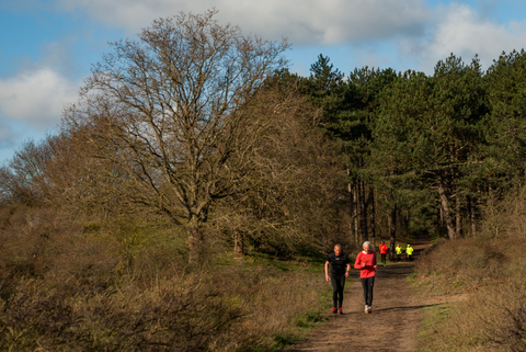 Russenbergen and Papenberg via Duinpad and Goudsbergen