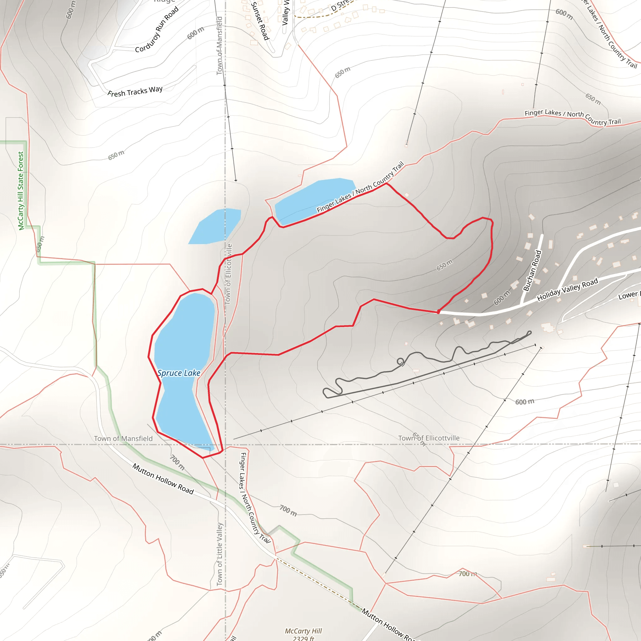 Spruce Lake Loop via Finger Lakes Trail mobile static map