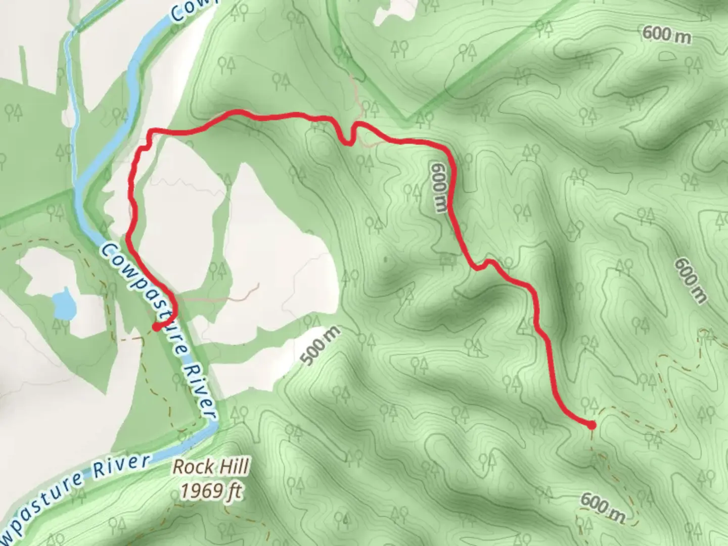 An image depicting the trail Wallace Tract Trail and its surrounding area.