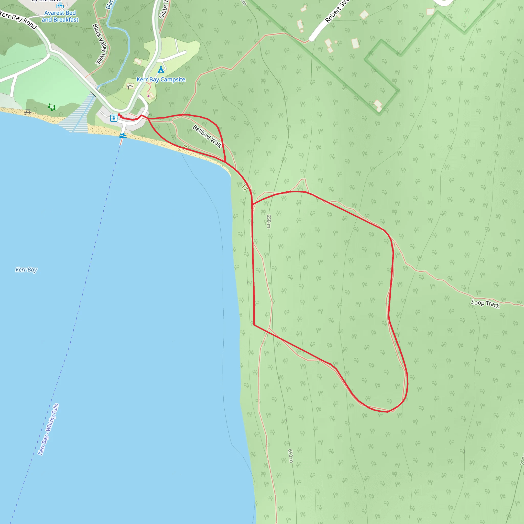 Lake Rotoiti - Kerr Bay - Honeydew Walk mobile static map
