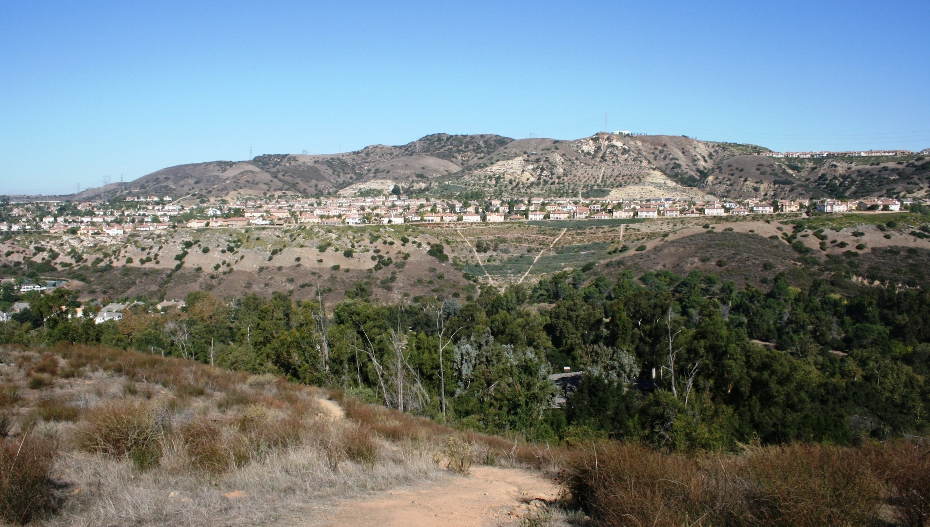 An image depicting the trail Bobcat Meadow and Wilderness Loop Trail and its surrounding area.