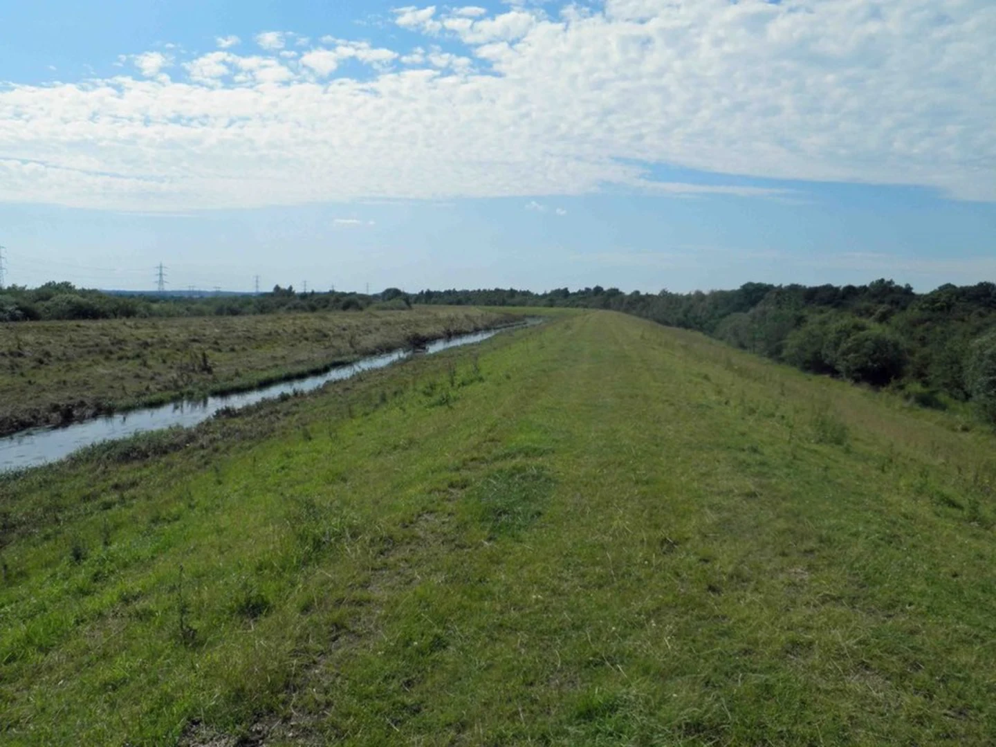 An image depicting the trail Thorpe Marsh Nature Reserve Loop and its surrounding area.