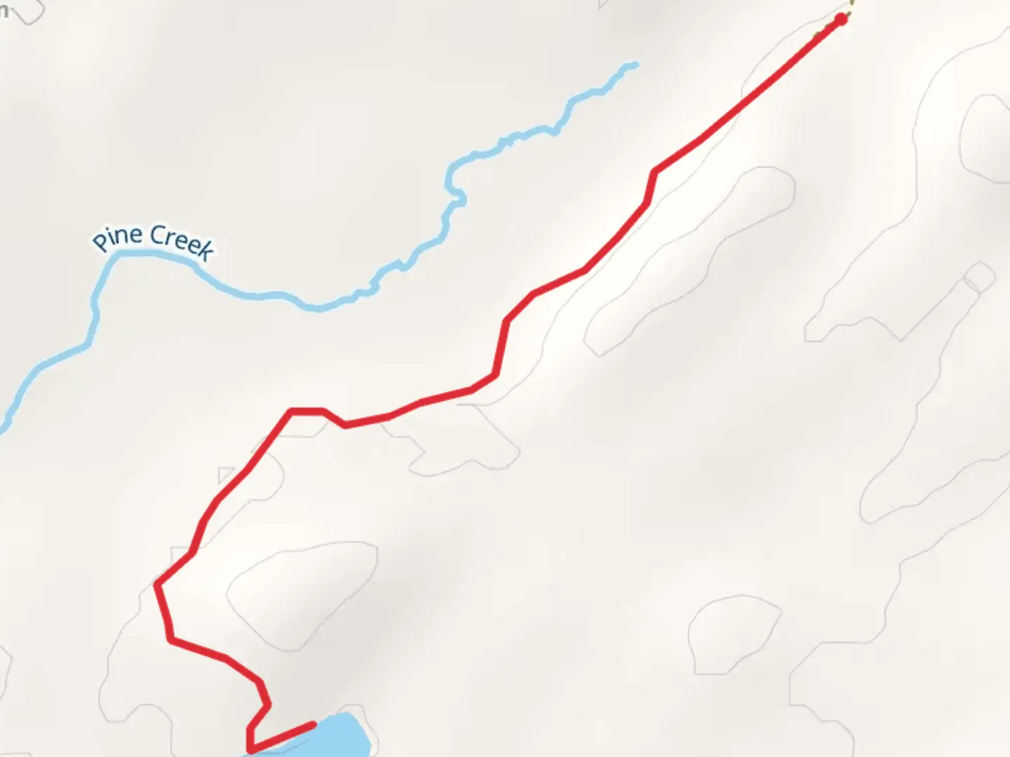 An image depicting the trail Panther Pond Trail and its surrounding area.