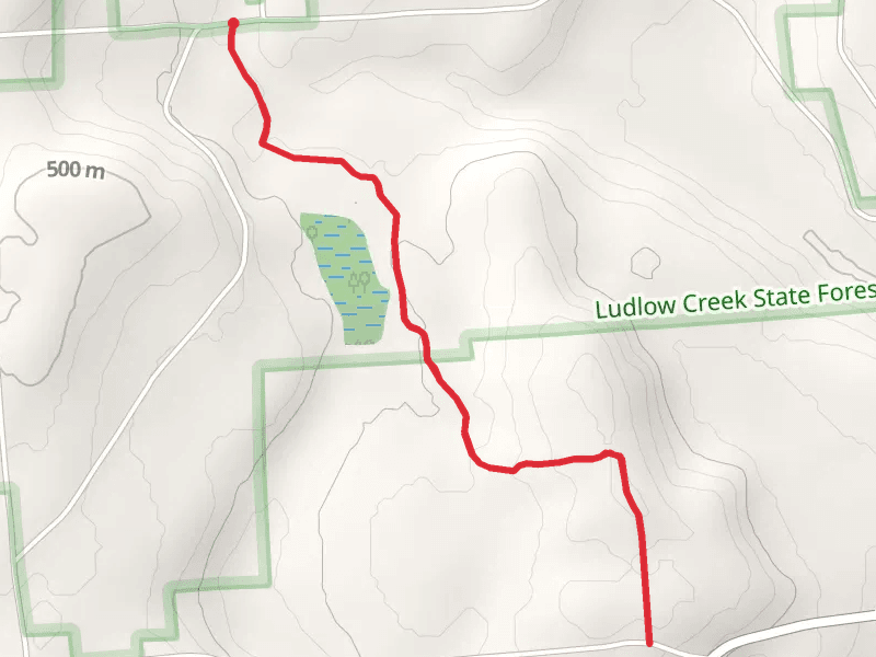 Ludlow Creek State Forest