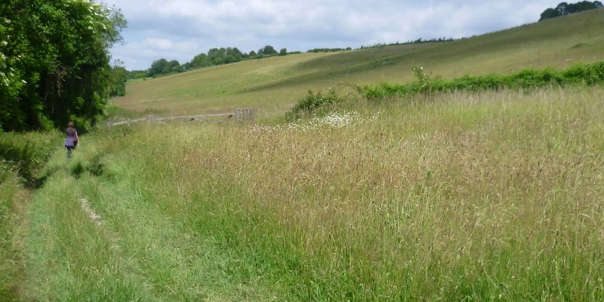 An image depicting the trail Wye and the Crundale Downs and its surrounding area.