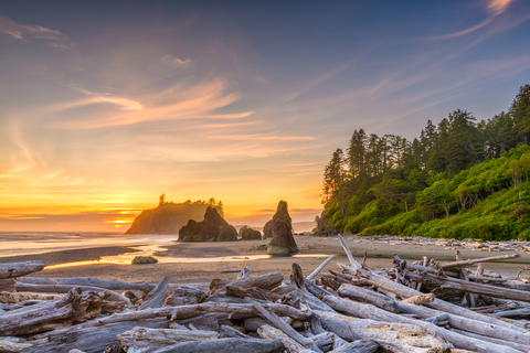 Ruby Beach Nature Trail