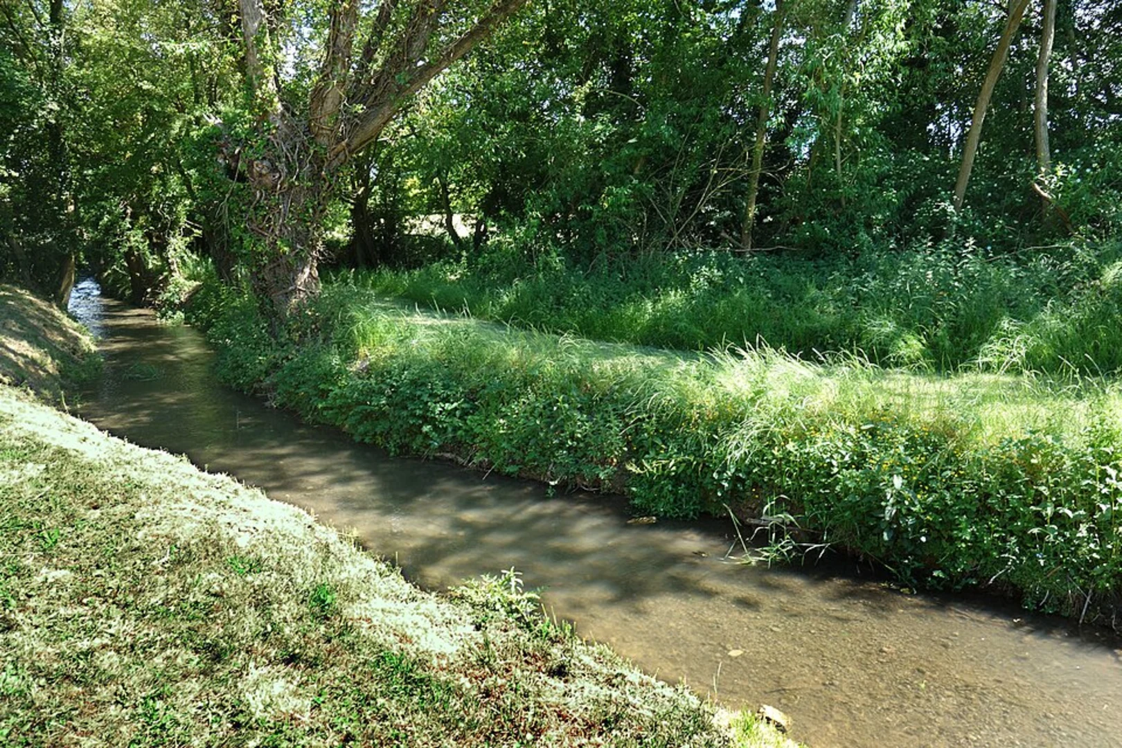 An image depicting the trail Broadwell Loop and its surrounding area.