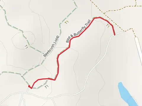 Bird and Butterfly Trail