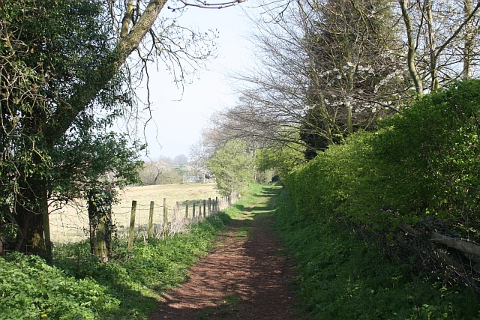 An image depicting the trail Poets Path No 1 and its surrounding area.