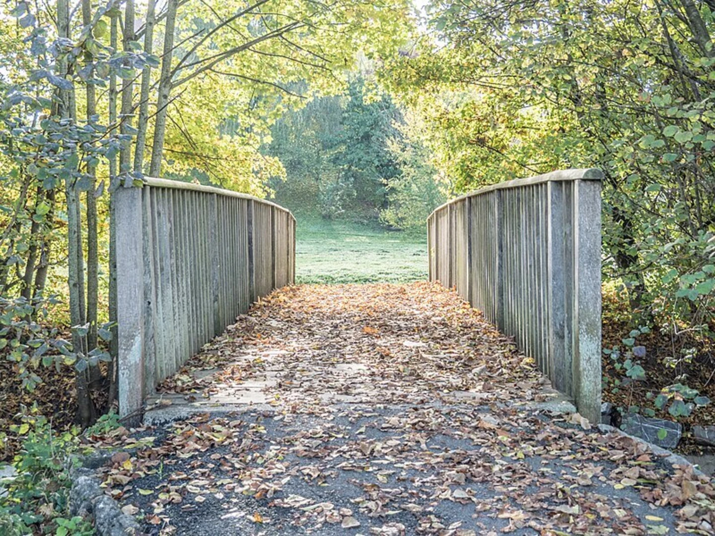 An image depicting the trail Granges-Marnand to Echallens Trail and its surrounding area.