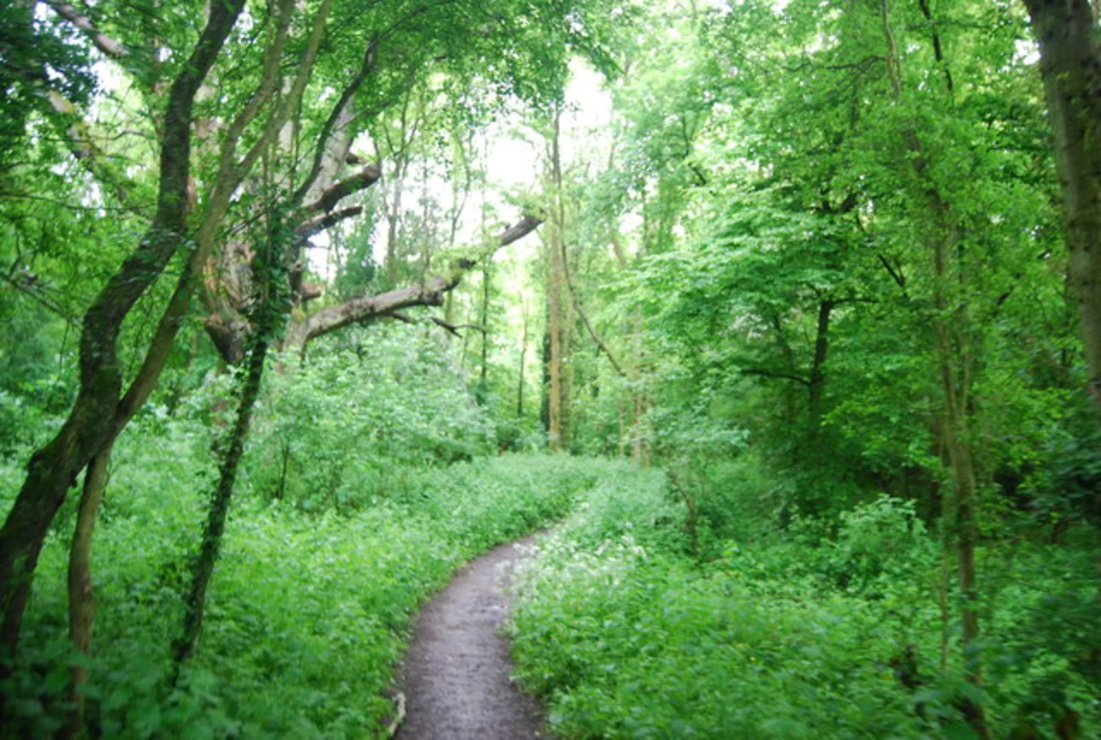 An image depicting the trail Outwood Walk and its surrounding area.