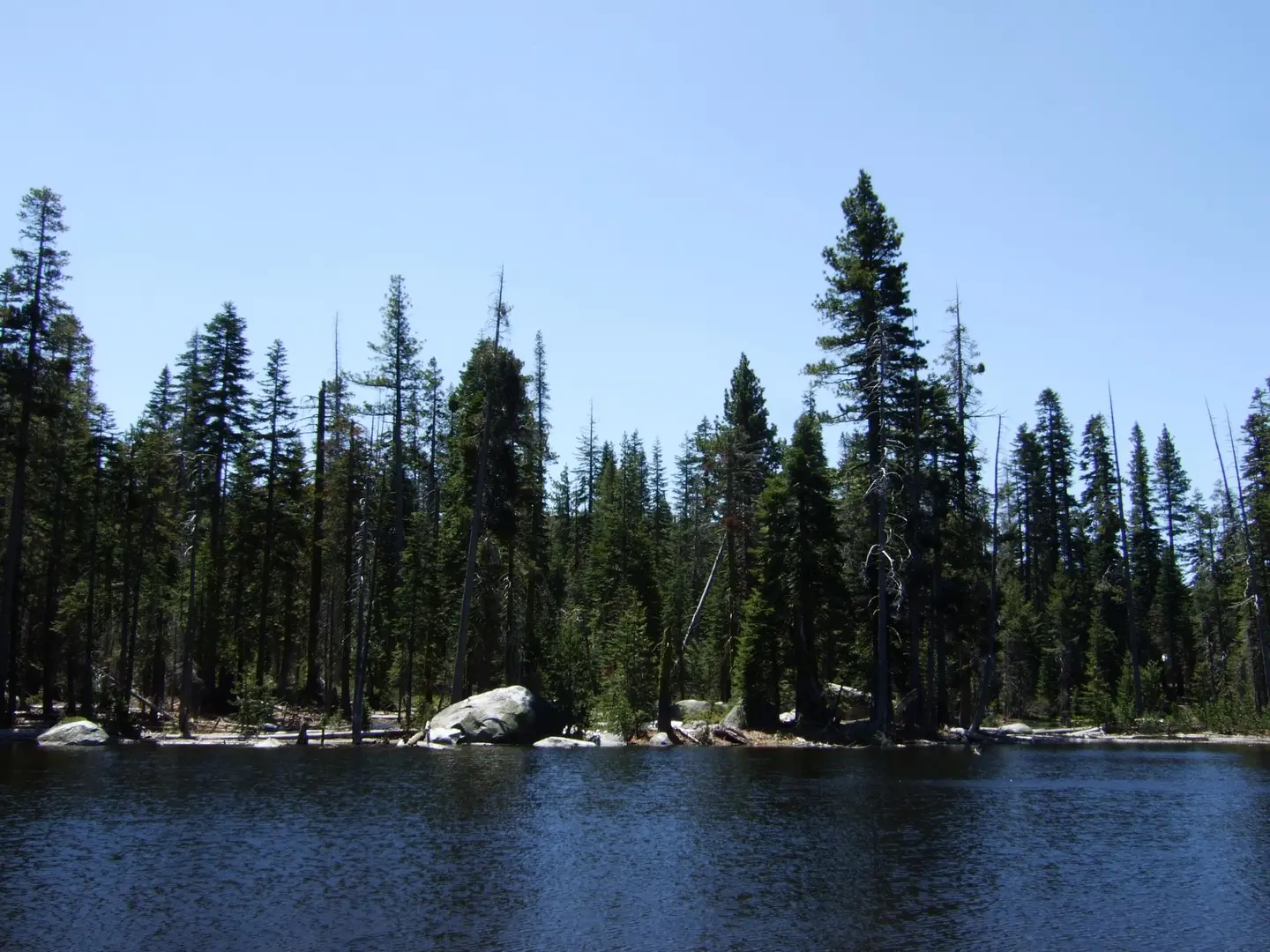 An image depicting the trail Big Sliver Creek and Jones Fork Silver Creek Walk and its surrounding area.