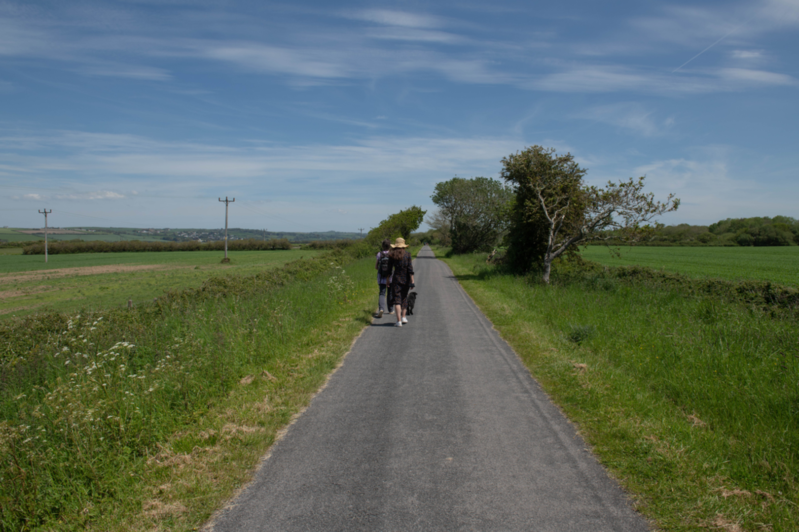 An image depicting the trail Fremington Quay Walk and its surrounding area.