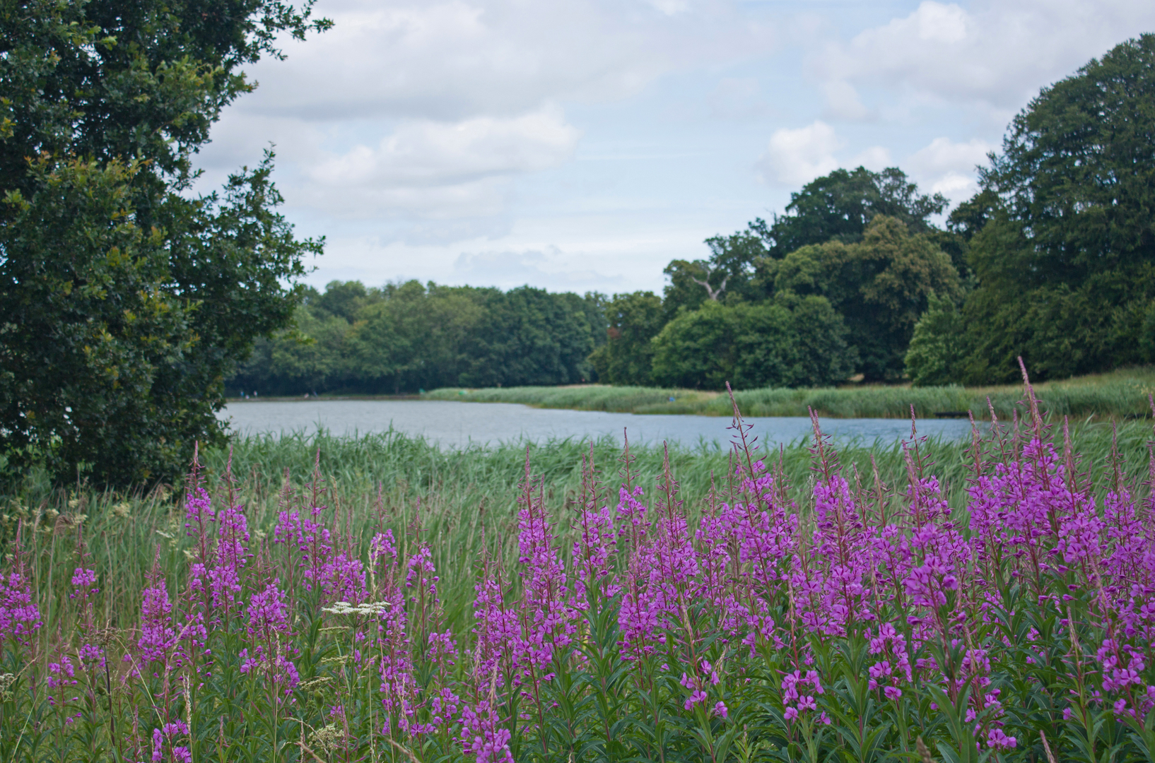 An image depicting the trail Blickling Mausoleum Walk - Norfolk and its surrounding area.