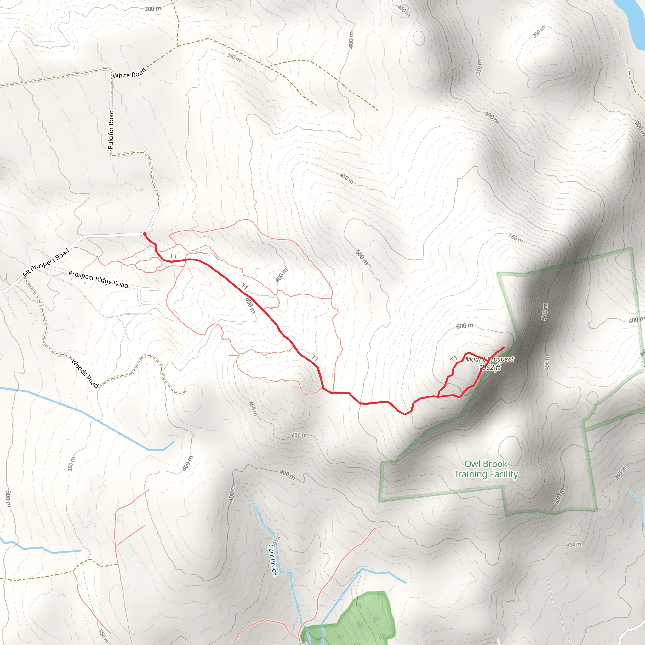 Mount Prospect from Mt Prospect Road mobile static map