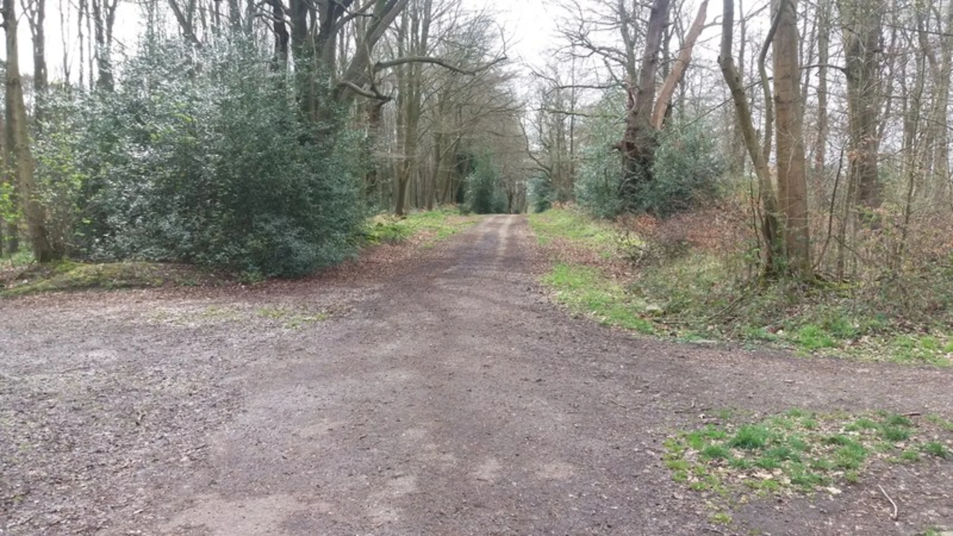 An image depicting the trail Three Castles Path and Worldsend Hill Loop and its surrounding area.