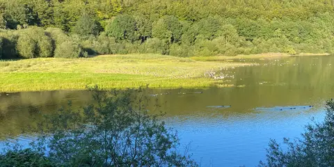 An image depicting the trail Washburn Valley - Norwood Edge and Lindley Wood Reservoir and its surrounding area.