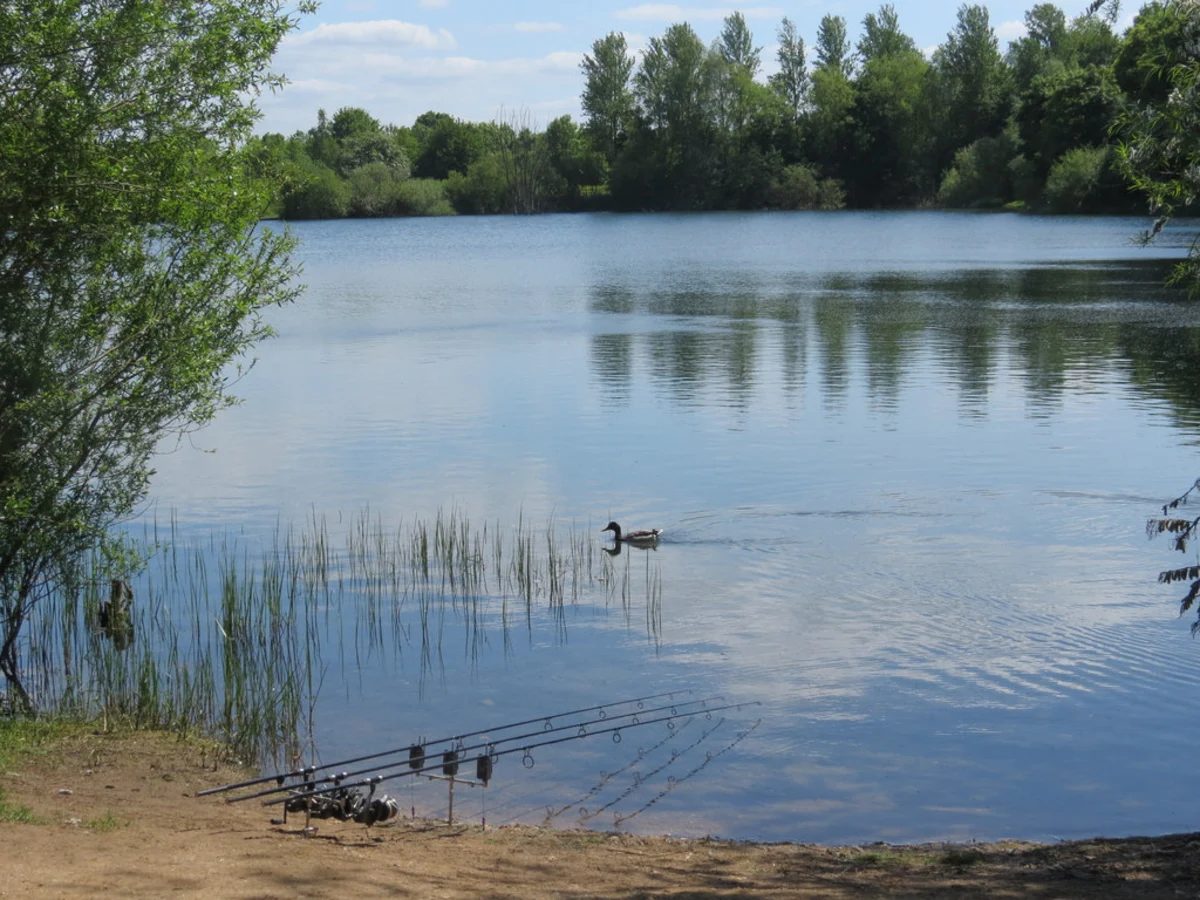 Tiddenfoot Lake and Grove Lock Marina Loop