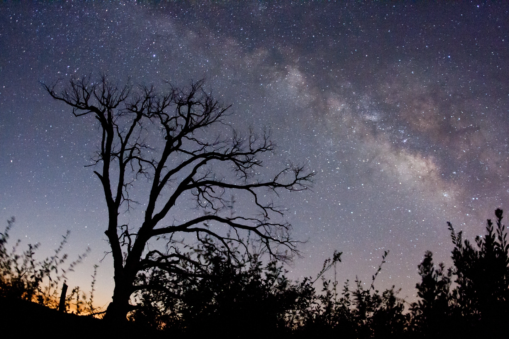 An image depicting the trail Japacha Peak and Cuyamaca Peak Loop and its surrounding area.