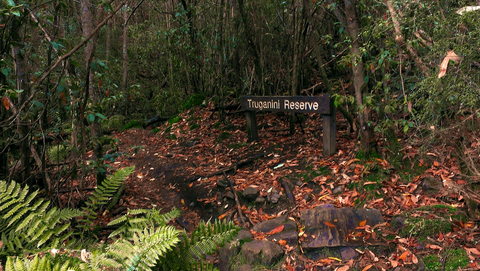 An image depicting the trail Truganini Track and its surrounding area.
