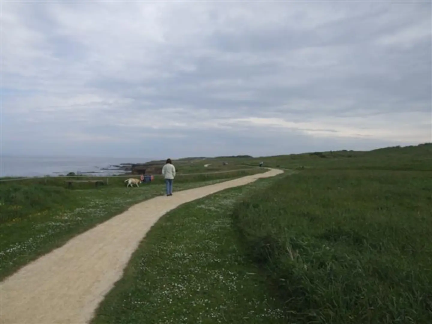 An image depicting the trail Sandhaven Beach to Sunderland Marina Walk and its surrounding area.