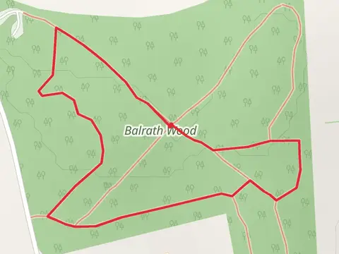 Balrath Wood - Nature Walk