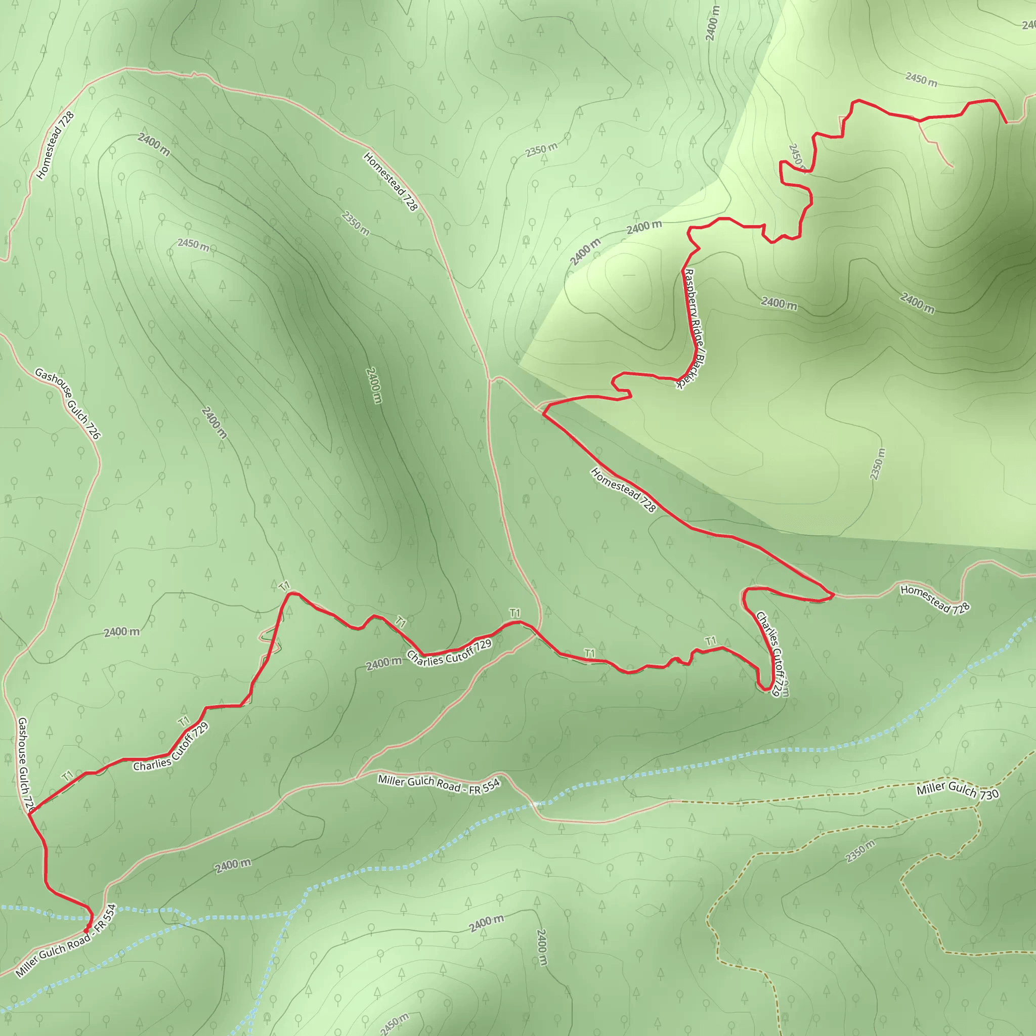 Raspberry Ridge via Charlies Cutoff Trail mobile static map