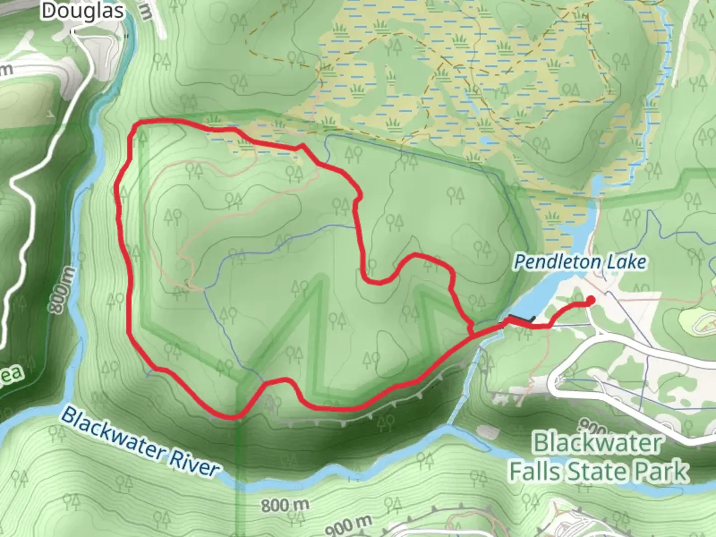 An image depicting the trail Dobbin House and WoodCock Loop Trail and its surrounding area.