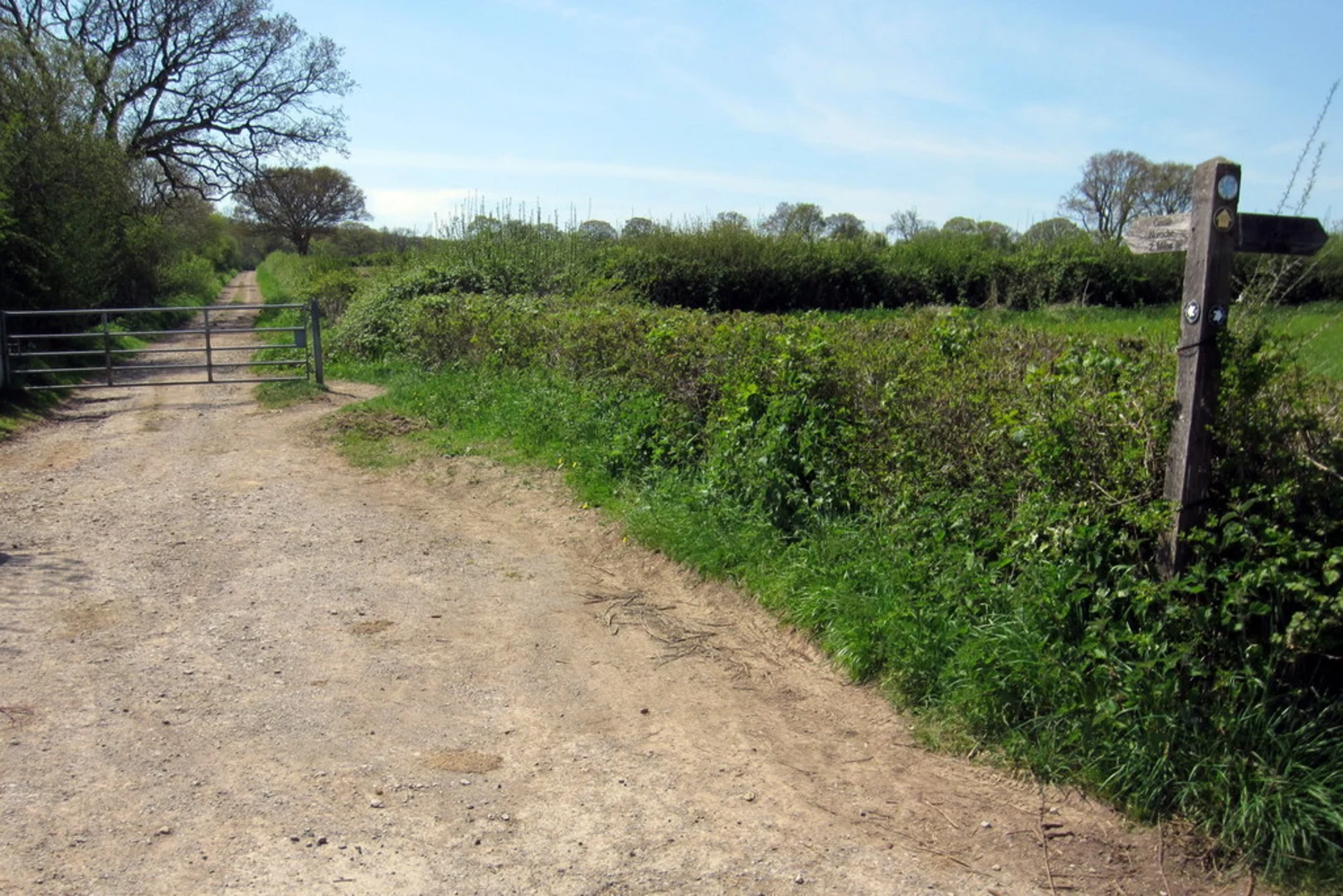 An image depicting the trail Castle Neroche, Bickenhall and Thurlbear Loop and its surrounding area.