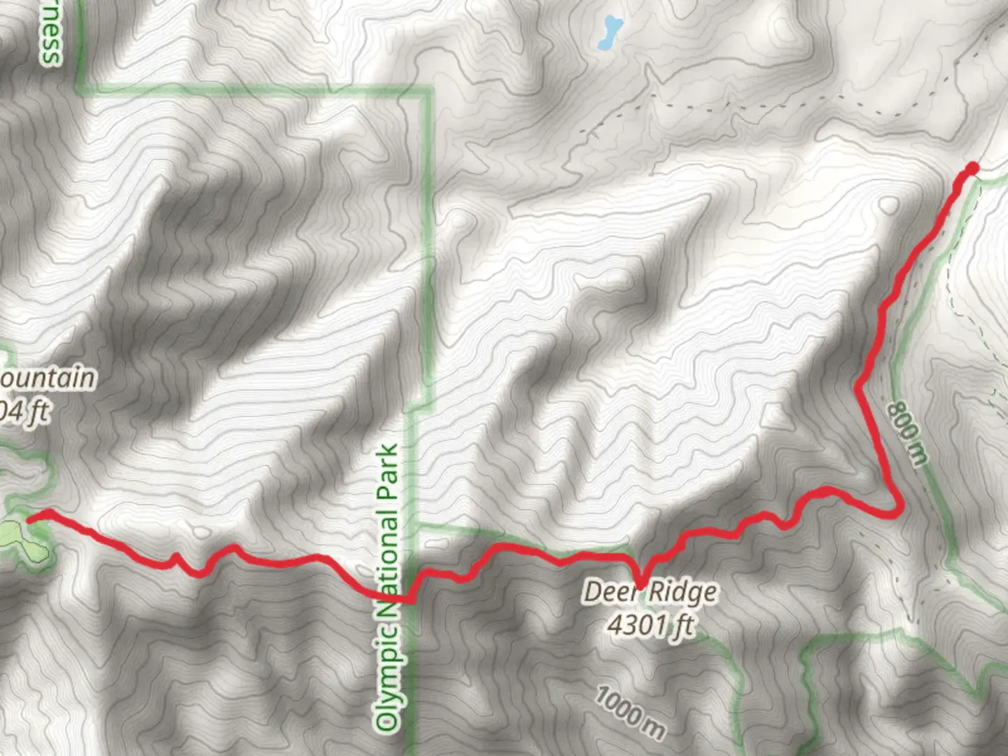 An image depicting the trail Deer Ridge and Three Forks Trail and its surrounding area.