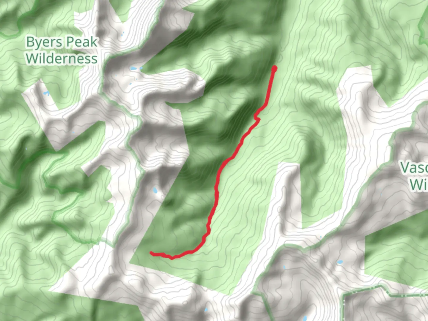 An image depicting the trail Saint Louis Creek and its surrounding area.
