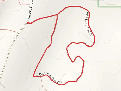 Pine Loop Trail
