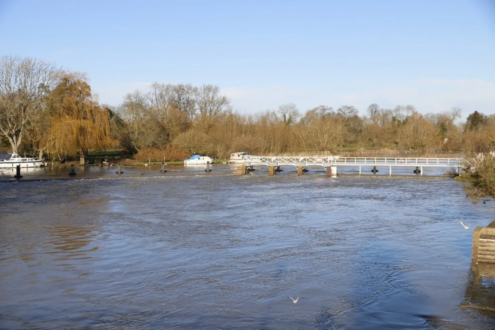 An image depicting the trail Goring Walk and its surrounding area.